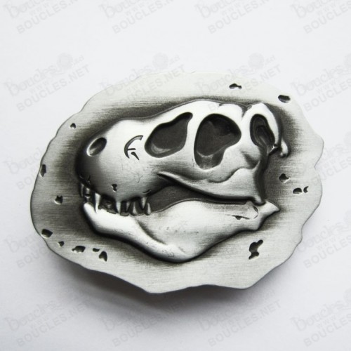FOSSILE CRÂNE PREHISTORIQUE FOSSILE CRÂNE PREHISTORIQUE