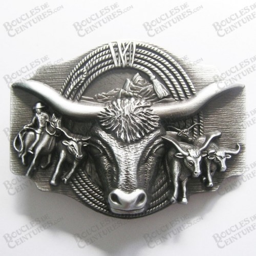 LONGHORN BULL RODÉO LONGHORN BULL RODÉO